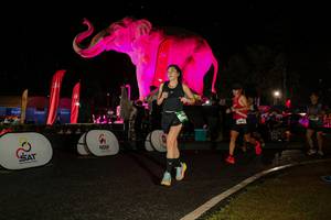 BIB: 
                            <button type="button" onclick="openModal(26534984)" class="btn btn-primary btn-sm float-right btn-popup" data-toggle="modal" data-target=".modal-high-quality">
                        <i class="fas fa-shopping-cart"></i> Add to Cart
                    </button>
                                            <button type="button" onclick="isThisMe(26534984, true)" class="btn btn-success btn-sm float-right btn-popup btn-isme hidden" data-toggle="tooltip" data-placement="bottom" title="นี่คือรูปของคุณใช่ไหม คลิกที่นี่เพื่อเอาเข้าอัลบั้ม">
                        <i class="fas fa-plus"></i> Add to album
                    </button>
                    <button type="button" onclick="isThisMe(26534984, false)" class="btn btn-warning btn-sm float-right btn-popup btn-isnotme hidden">
                        <i class="fas fa-ban"></i> Remove from album
                    </button>